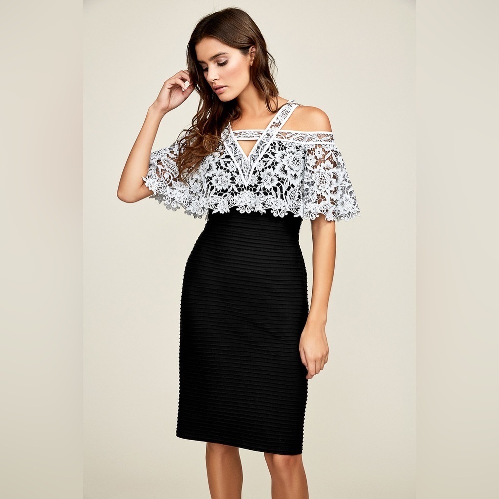 NWT Tadashi Shoji Belen Contrast Lace Peakaboo Dress Sz XL